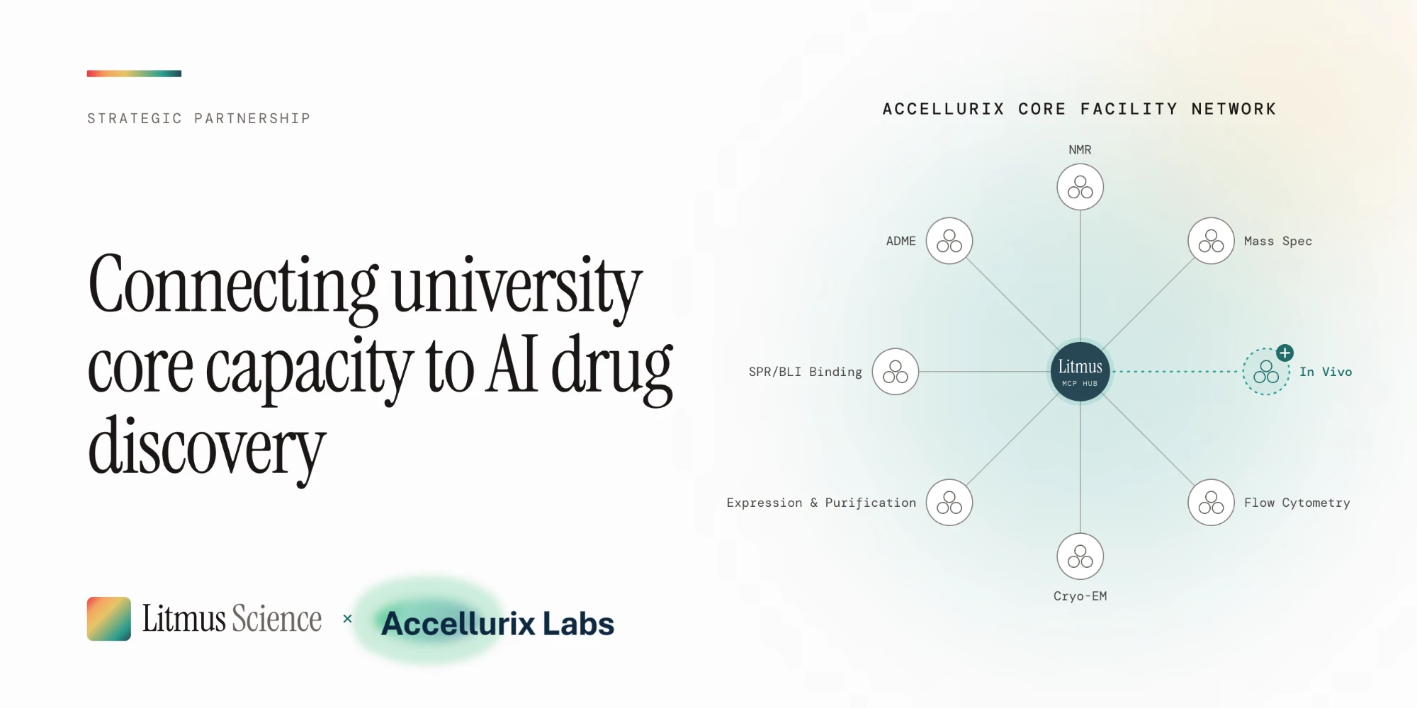 Strategic partnership: Litmus Science and Accellurix Labs, connecting university core capacity to AI drug discovery. The Litmus MCP hub links to the Accellurix core facility network: NMR, mass spec, ADME, SPR/BLI binding, expression and purification, cryo-EM, flow cytometry, and in vivo.